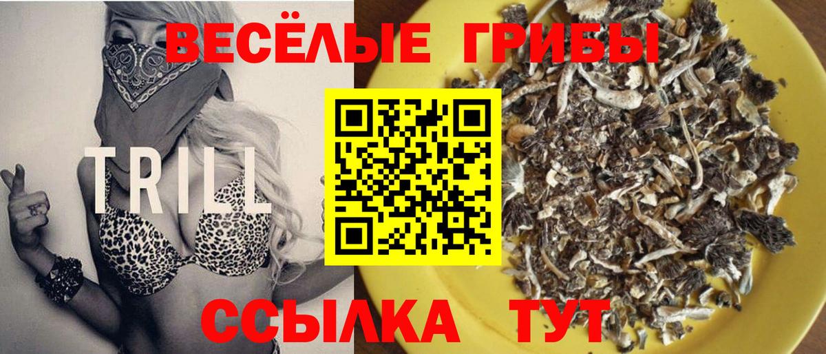 Псилоцибиновые грибы GOLDEN TEACHER  Вход с VPN  Галлюциногенные грибы ЛСД  Россошь 